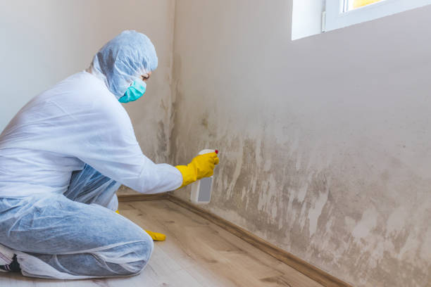 Commercial Mold Remediation assessment for commercial property in Plant City